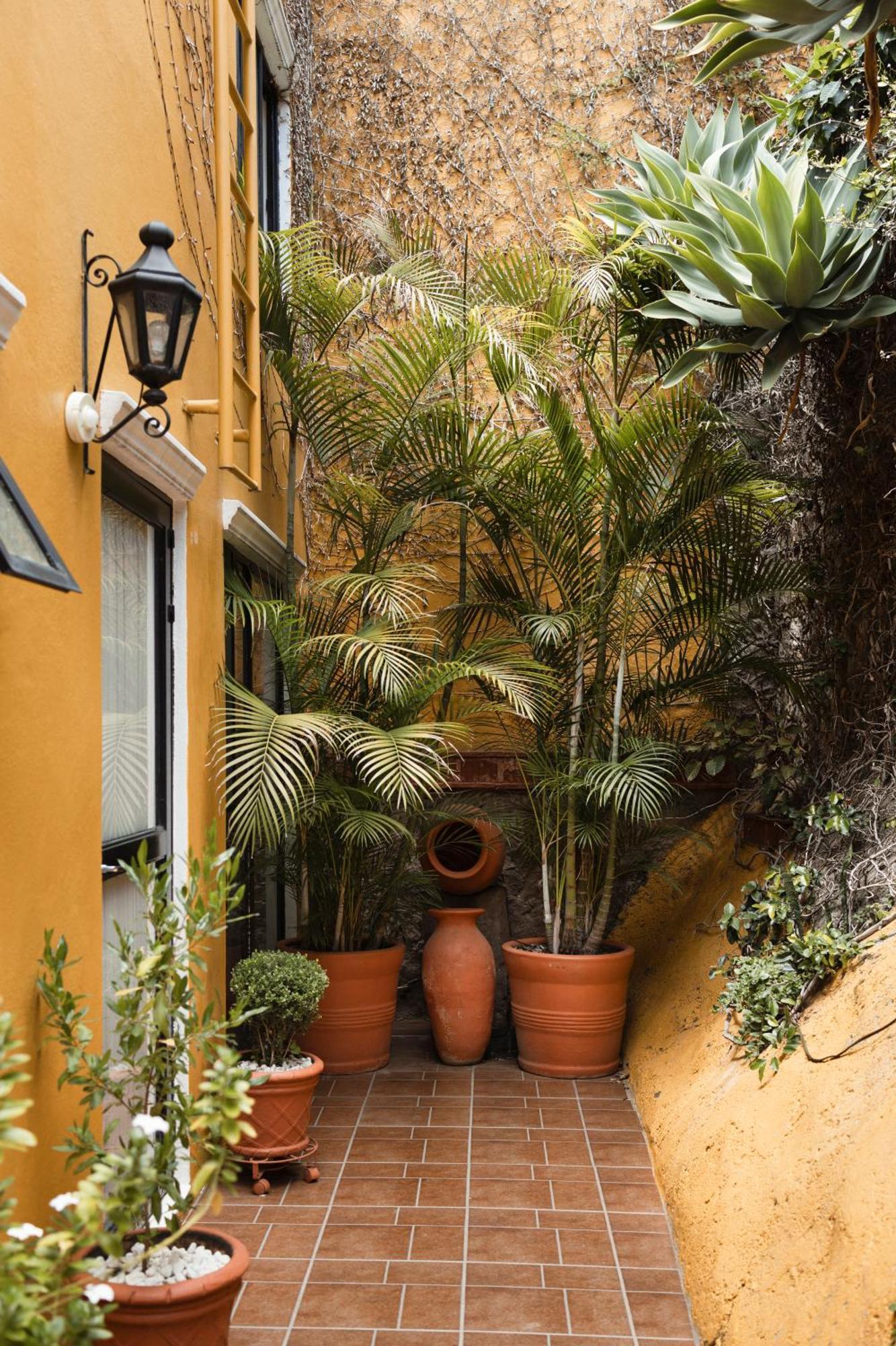 Casa Amarilla Pensión Guanajuato